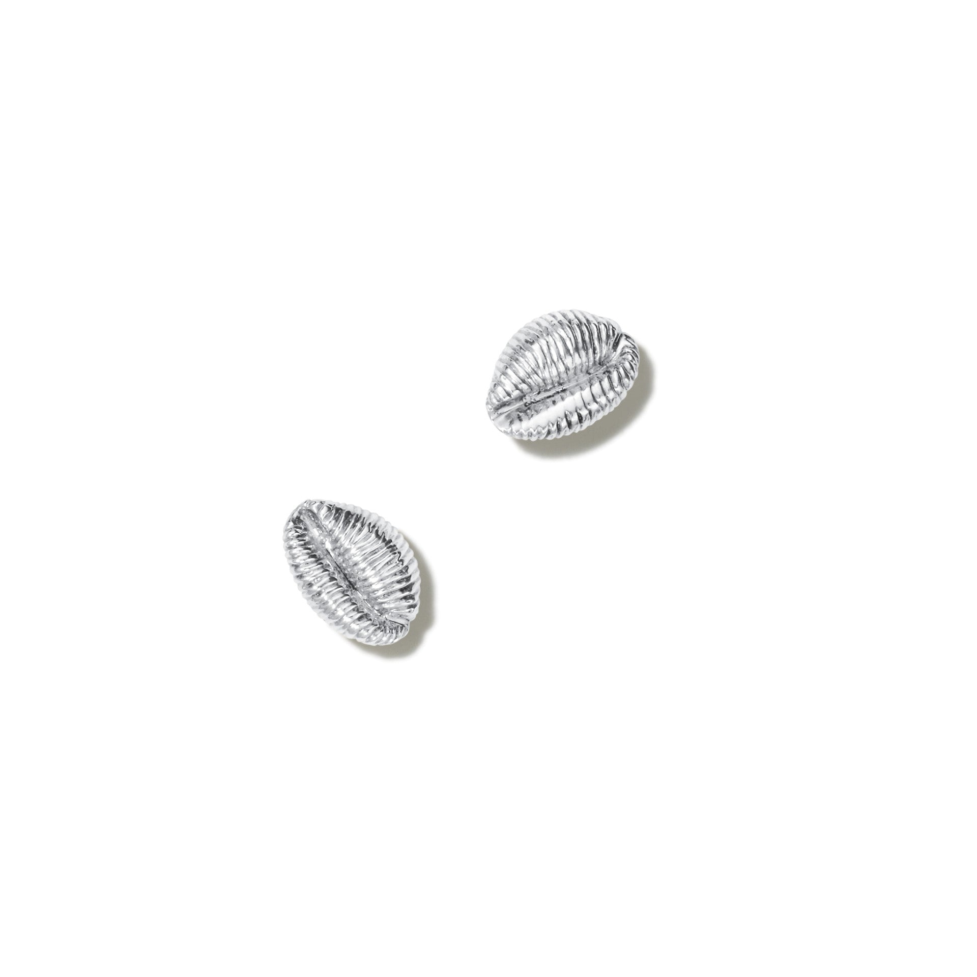 THE COWRIE Stud selling Earrings in Silver