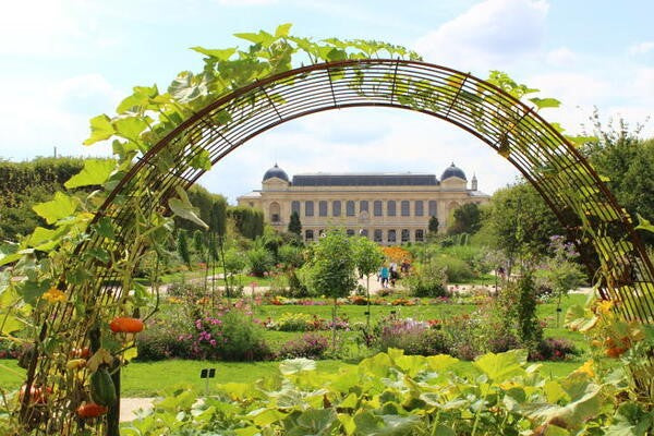 Le Jardin des Plantes