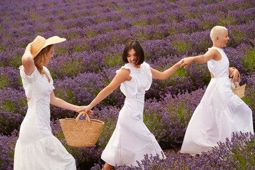 Lavender en Provence - Travel Guide