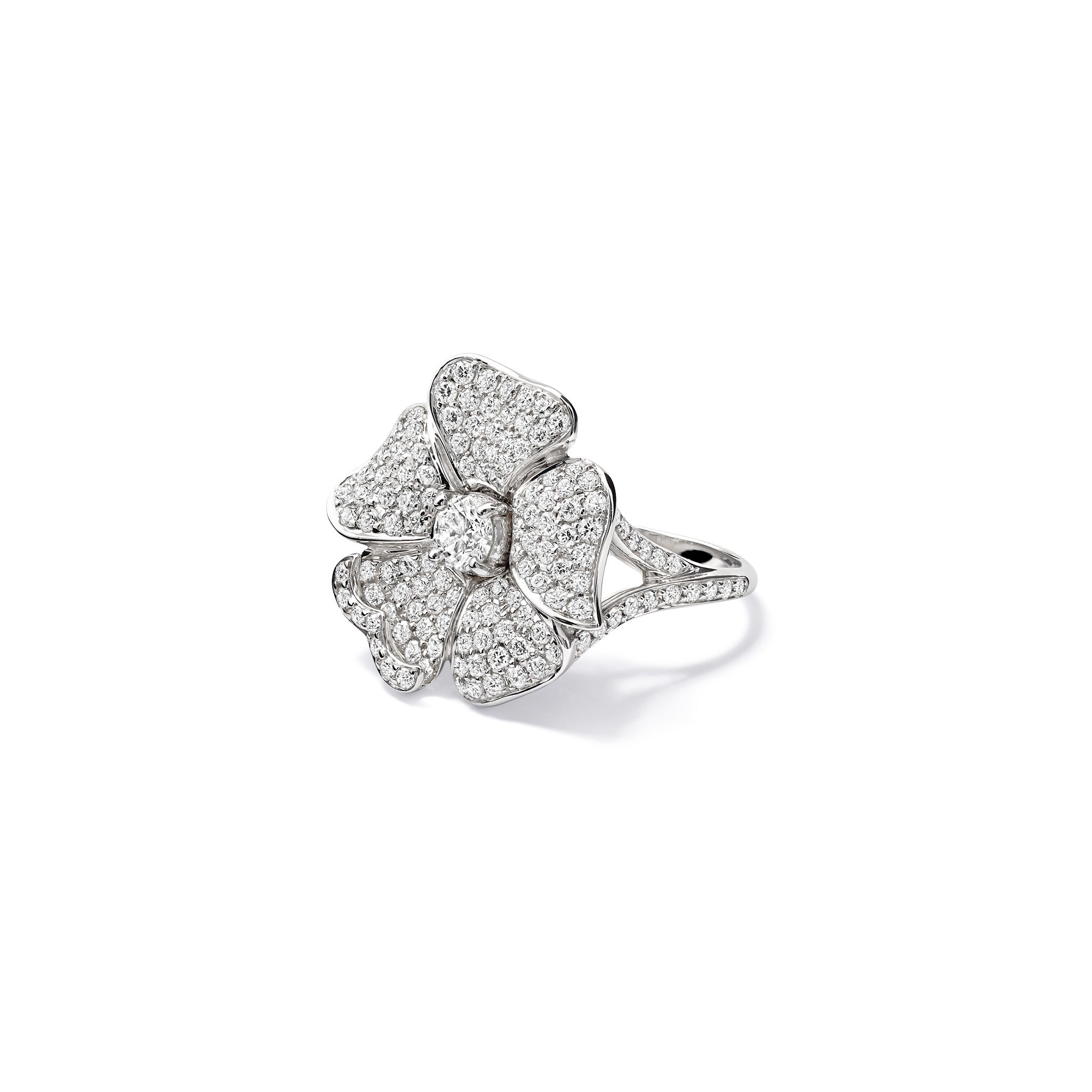 Rose Ring 18ct White Gold - Diamond