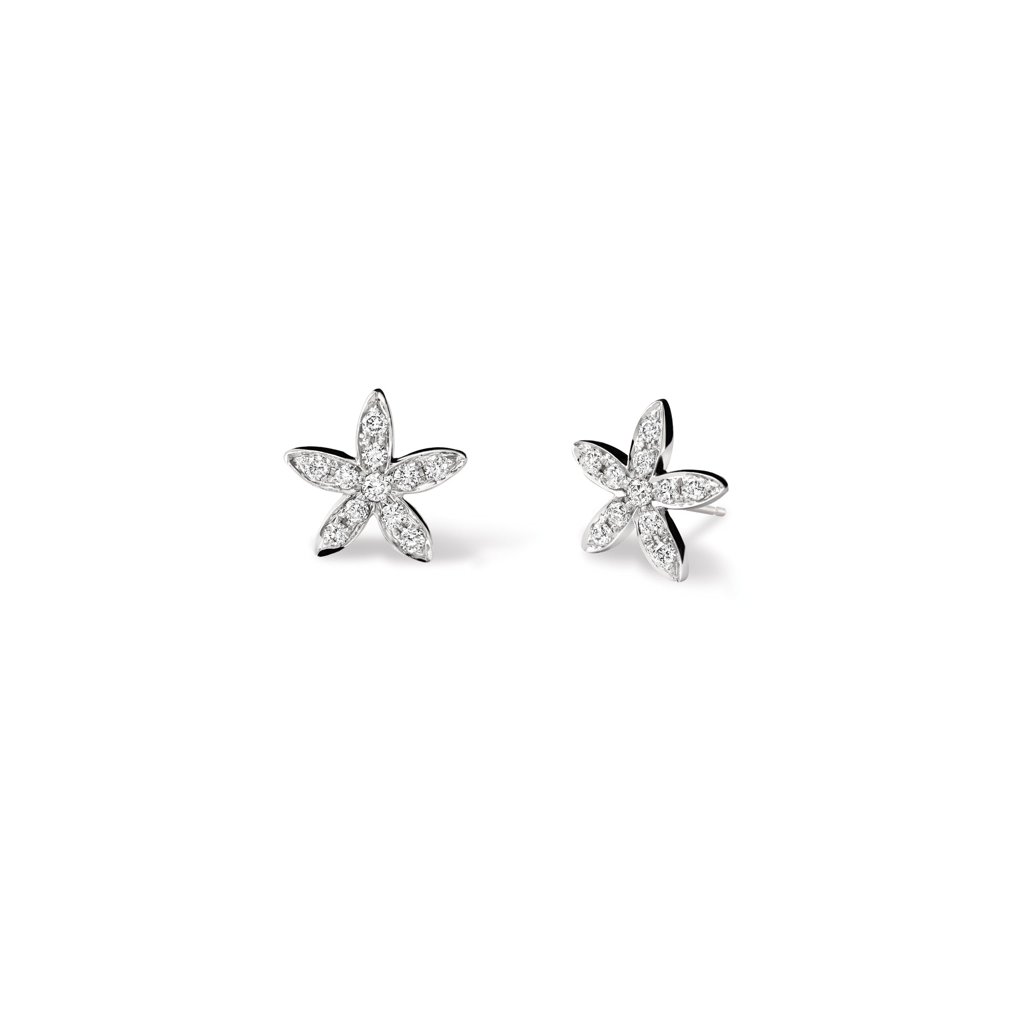 Estrela do Mar Small Earrings  White Gold - Diamond Pavé