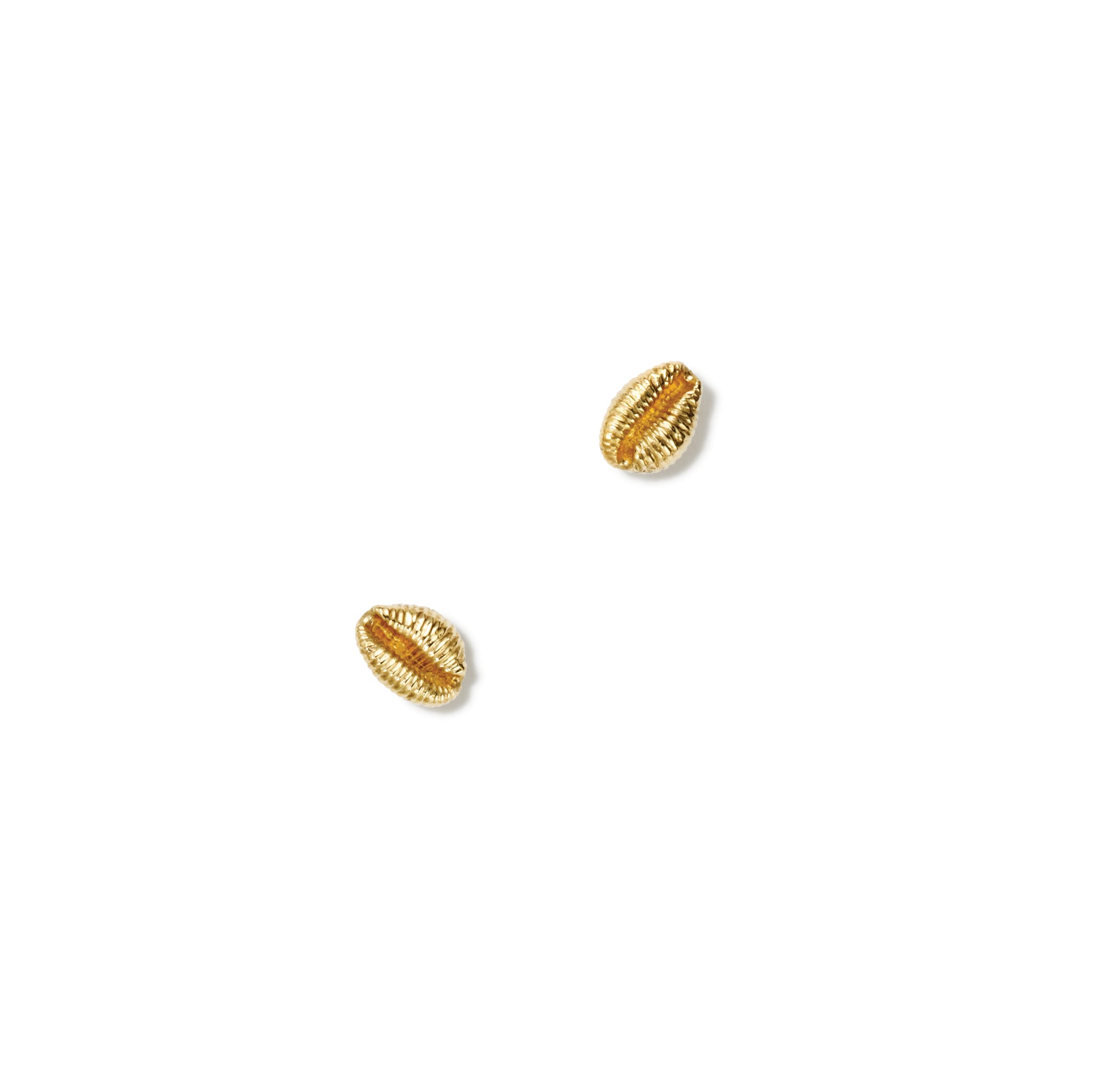 Handcrafted yellow gold earring studs showcasing a cowrie shell.